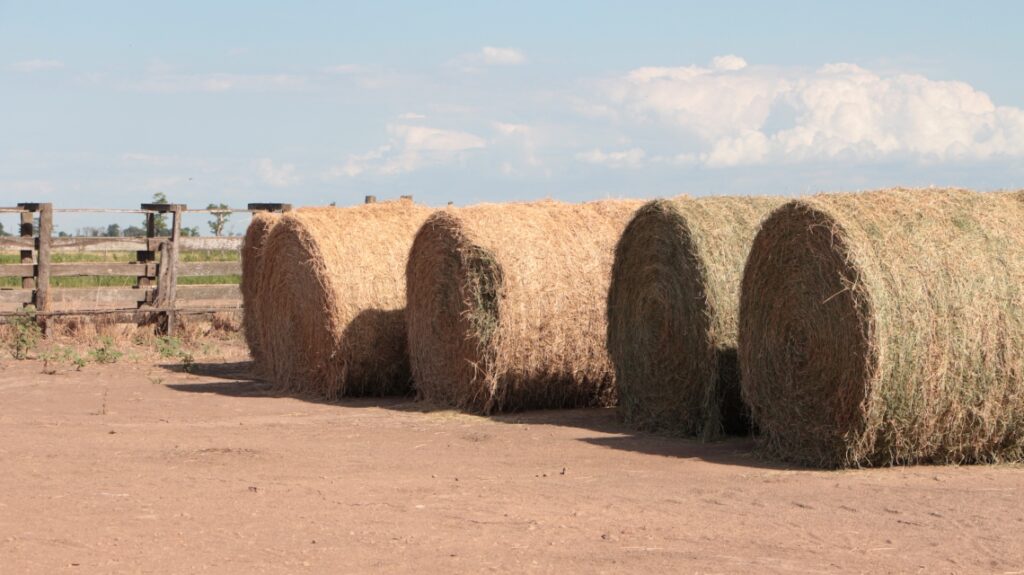 La provincia ofrece créditos con tasa bonificada por $5.000 mil millones al sector agropecuario