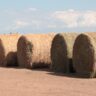 La provincia ofrece créditos con tasa bonificada por $5.000 mil millones al sector agropecuario