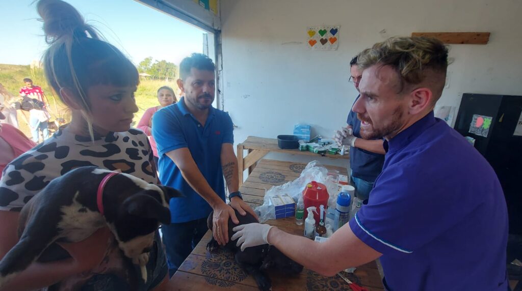 Castelló presentó un proyecto para crear el hospital público veterinario provincial