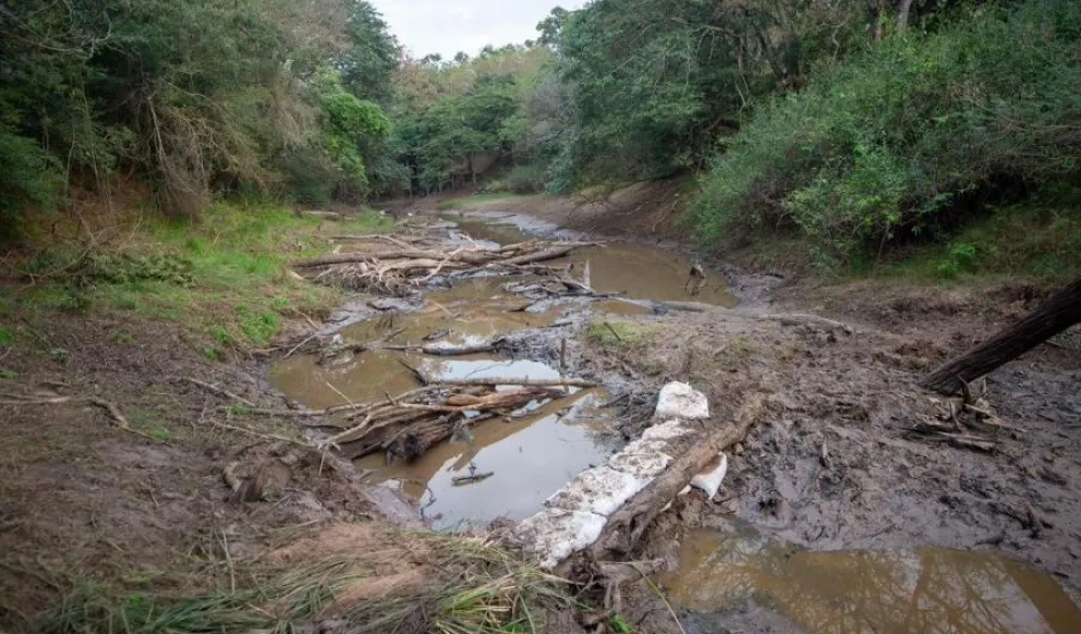 Hallaron más huesos sospechosos en el río Tragadero