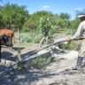 La provincia recuerda la vigencia de líneas de financiamiento para productores en Emergencia Agropecuaria