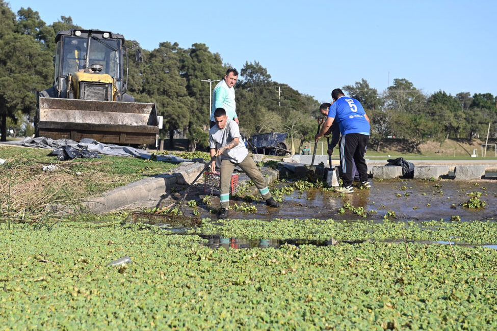 La Municipalidad realiza un operativo de limpieza en el lago del Parque del Sur