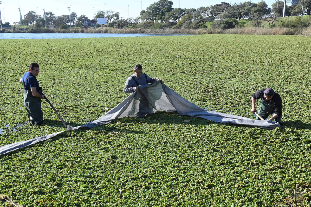 Continúa la limpieza en el lago del Parque del Sur con hallazgos inesperados