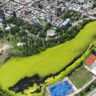 Preocupa la abundante vegetación en el lago del Parque del Sur