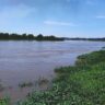 El río Paraná llegó al nivel de alerta en Santa Fe