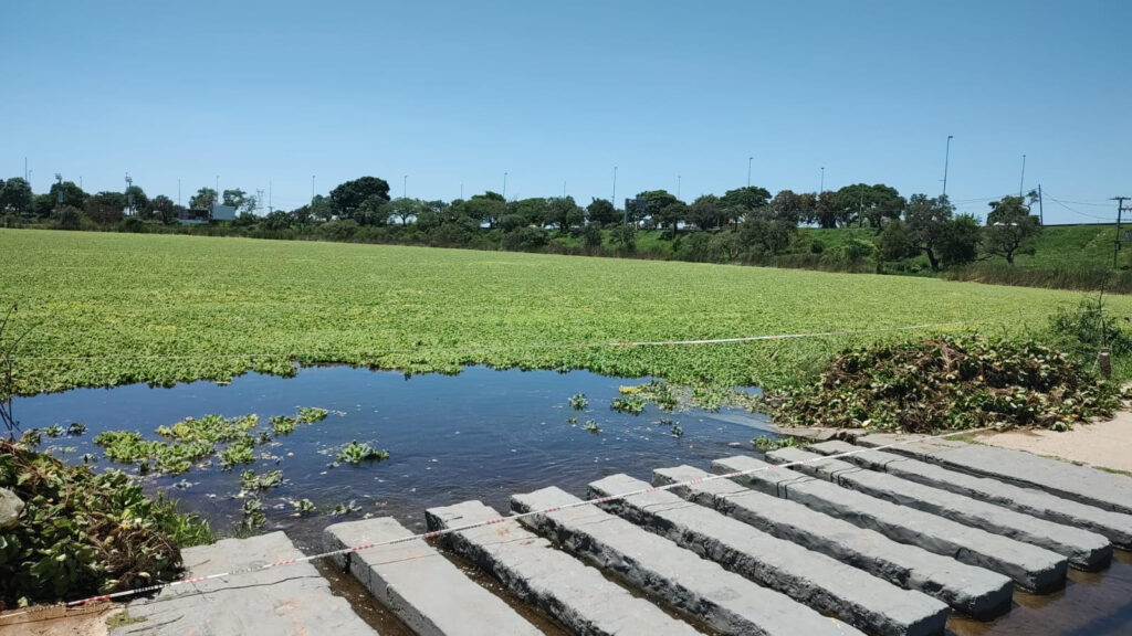 El Municipio trabaja para recuperar el Lago del Parque Sur