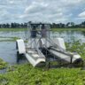 Comenzó el trabajo de limpieza del lago del Parque del Sur