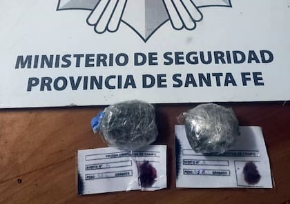 Hallaron una paloma mensajera con marihuana en la cárcel de Coronda