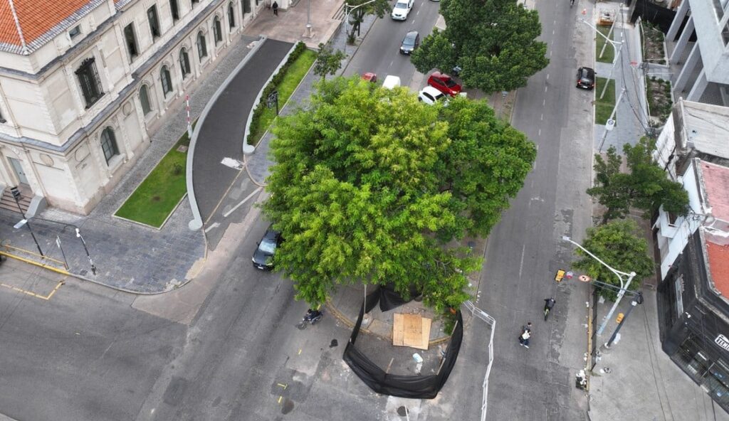 Cortarán totalmente el tránsito en Boulevard y 9 de julio debido al socavón