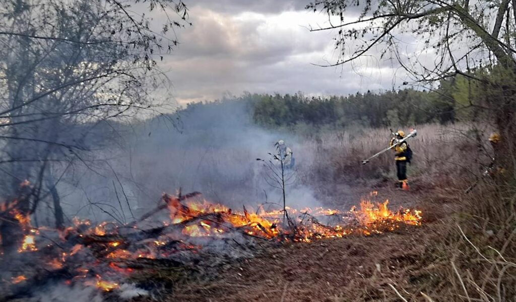 Manejo del fuego: Provincia acordó un plan de trabajo con autoridades locales