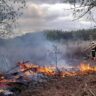 Manejo del fuego: Provincia acordó un plan de trabajo con autoridades locales