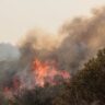 Incendios forestales en Córdoba: hay detenidos