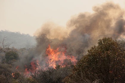 Incendios forestales en Córdoba: hay detenidos