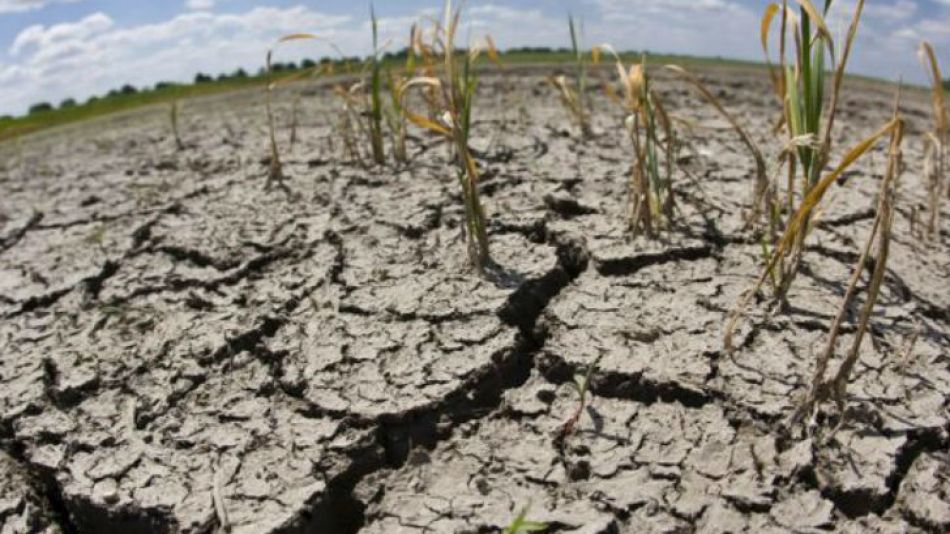 Provincia declaró la emergencia agropecuaria en cuatro departamentos