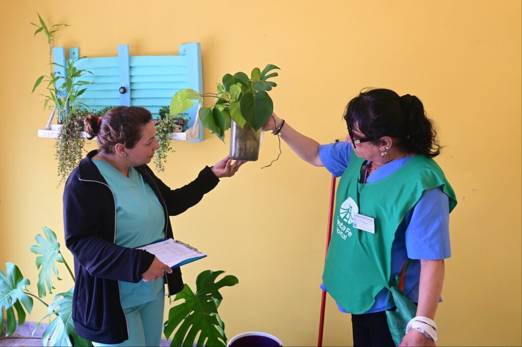 Se detectó la presencia del vector del Dengue en 23 barrios