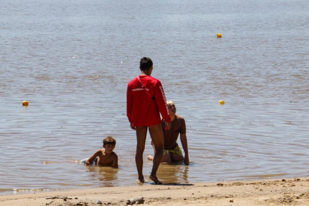 Recomendaciones por presencia de palometas y prevención de golpes de calor