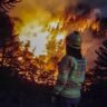 Brigadistas santafesinos combaten incendios en el volcán Lanín