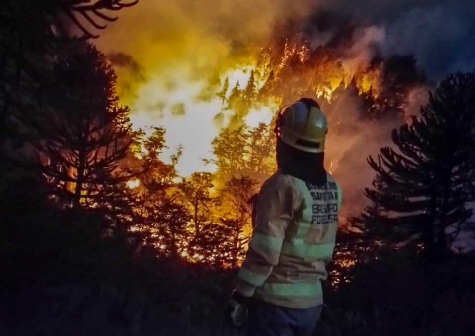 Brigadistas santafesinos combaten incendios en el volcán Lanín