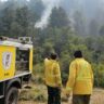 Intenso trabajo de brigadistas santafesinos en el combate de incendios en la Patagonia