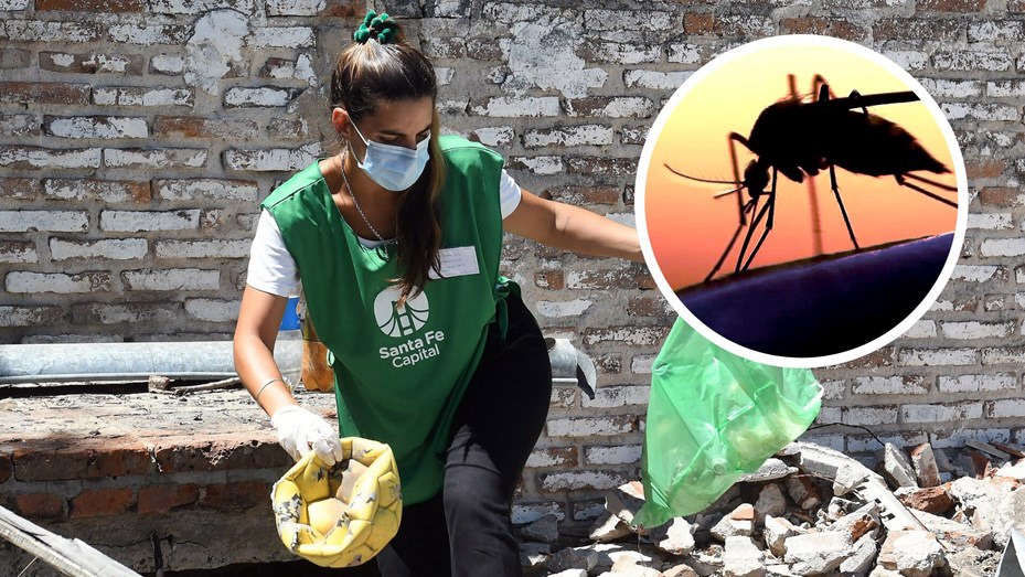 Santa Fe: Confirman nuevos casos de Dengue y refuerzan tareas de prevención